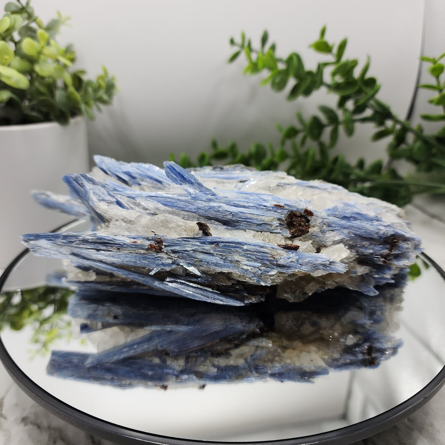 Kyanite specimen from Brazil
