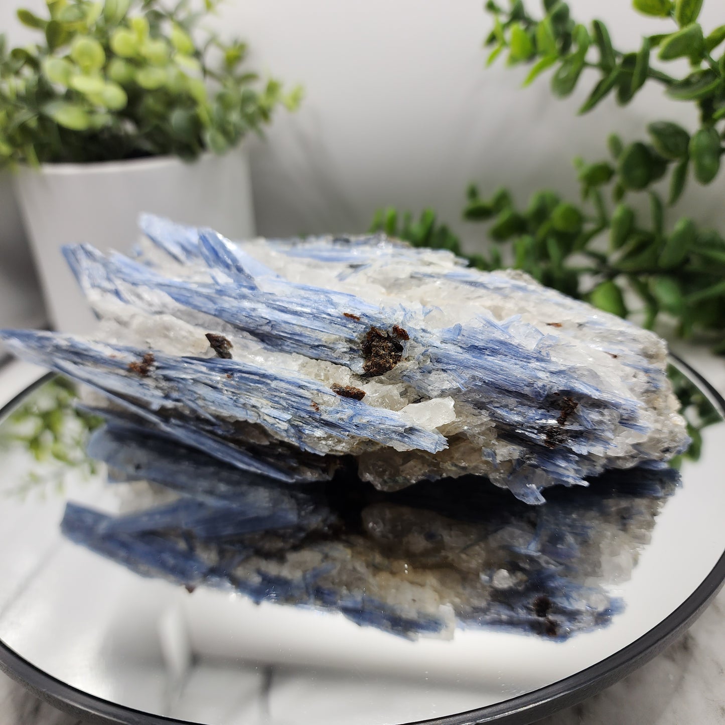 Kyanite specimen from Brazil