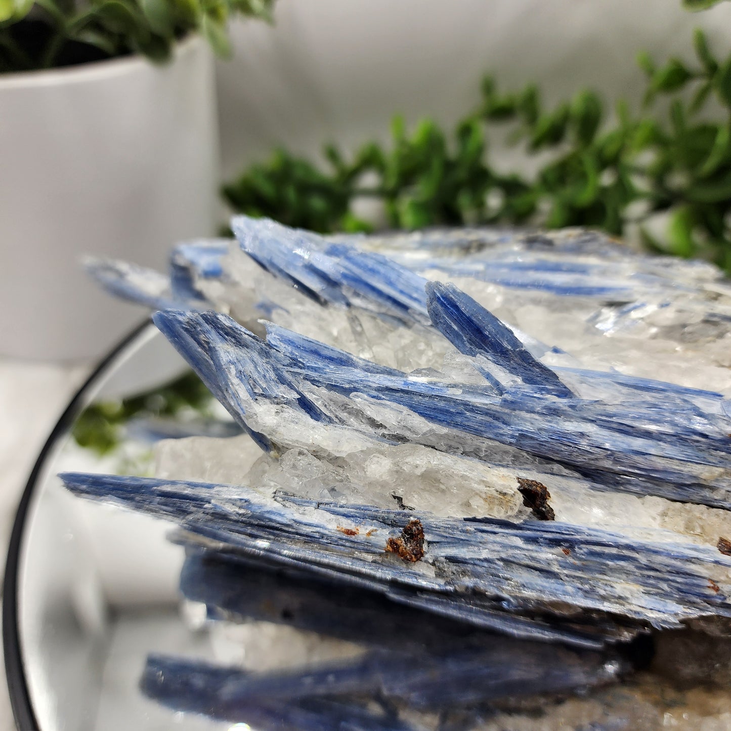 Kyanite specimen from Brazil