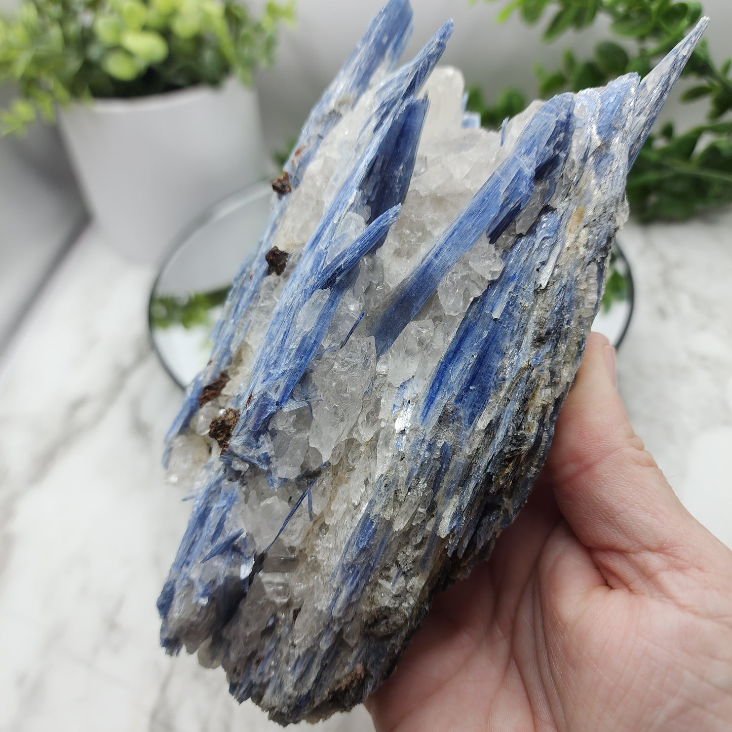 Kyanite specimen from Brazil