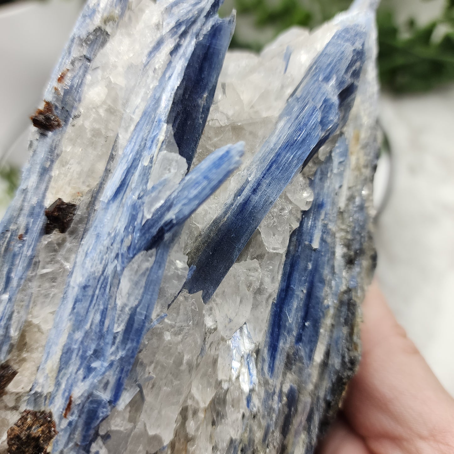 Kyanite specimen from Brazil