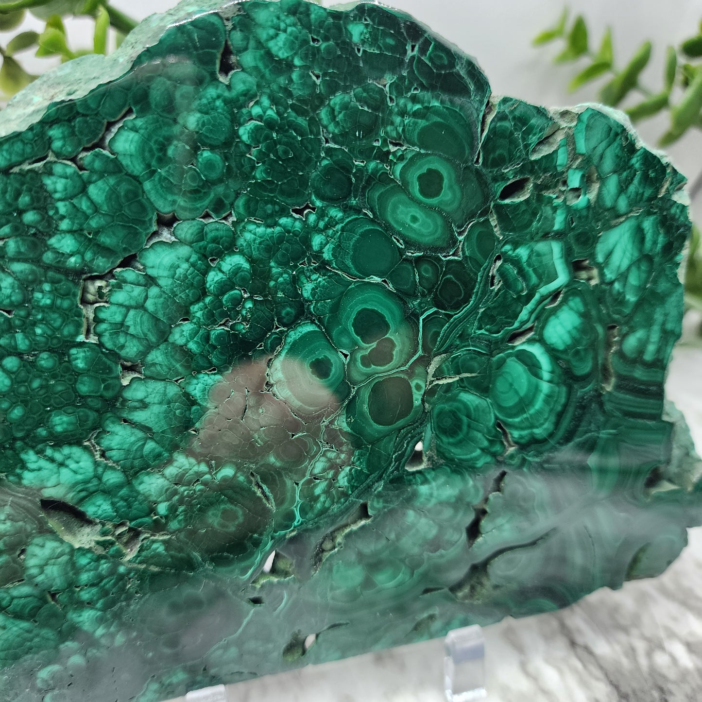 Malachite slab from Congo 4
