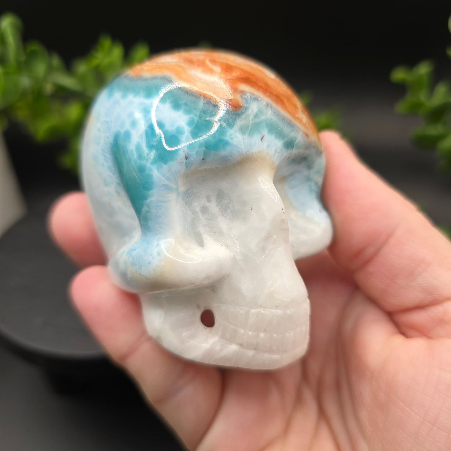 Larimar Skull