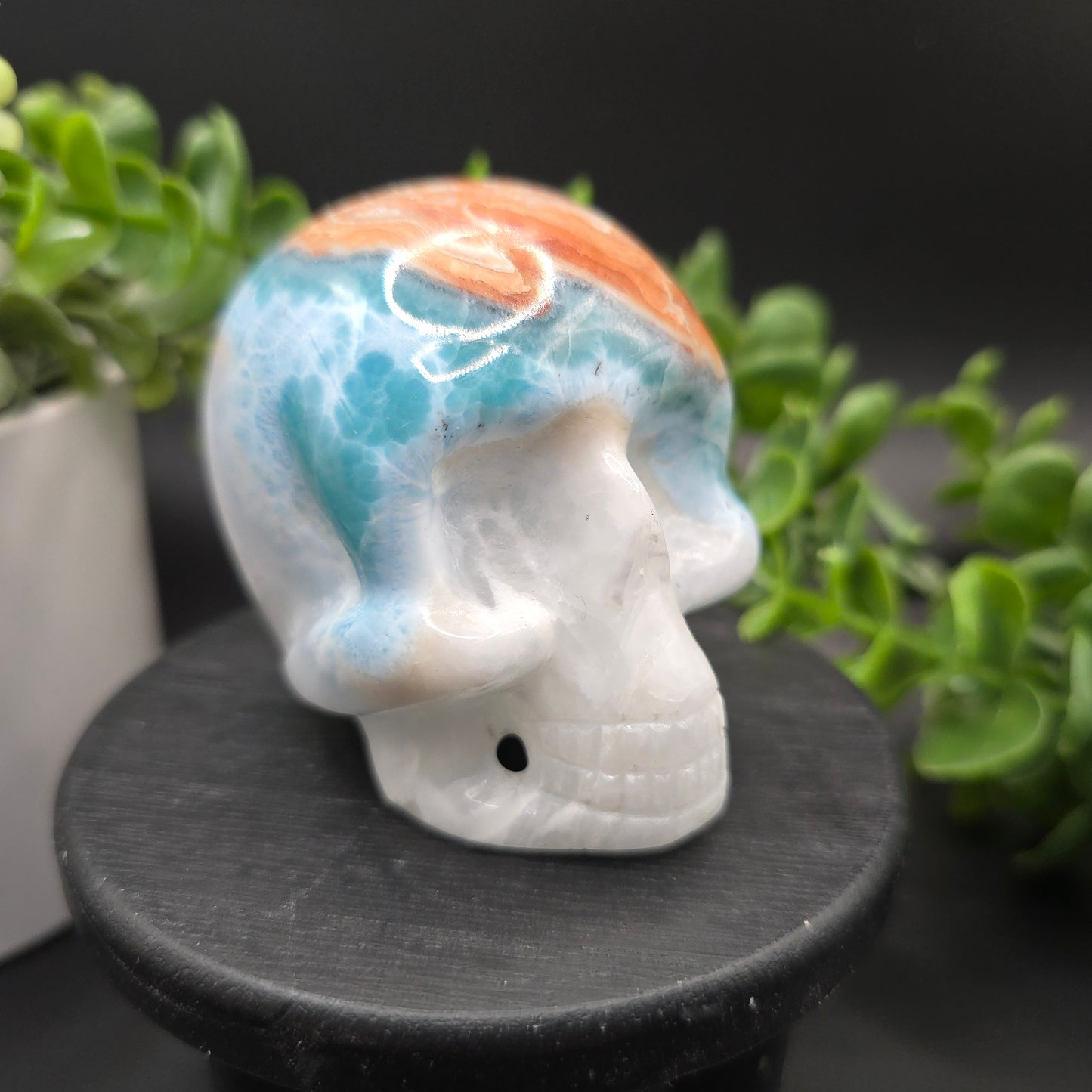 Larimar Skull