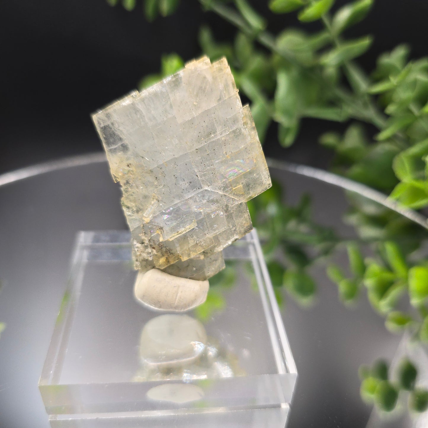 Blue Barite Morocco