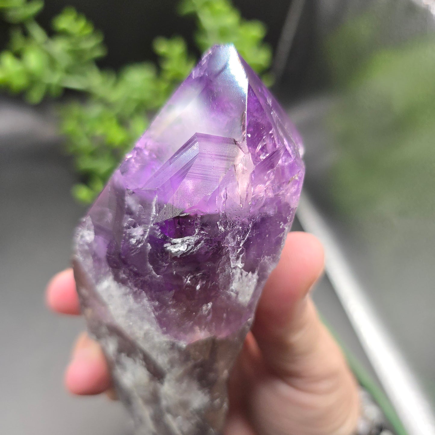 Amethyst root from Brazil