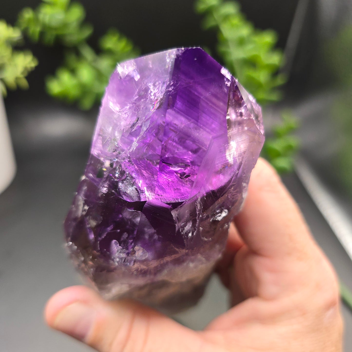 Amethyst root from Brazil