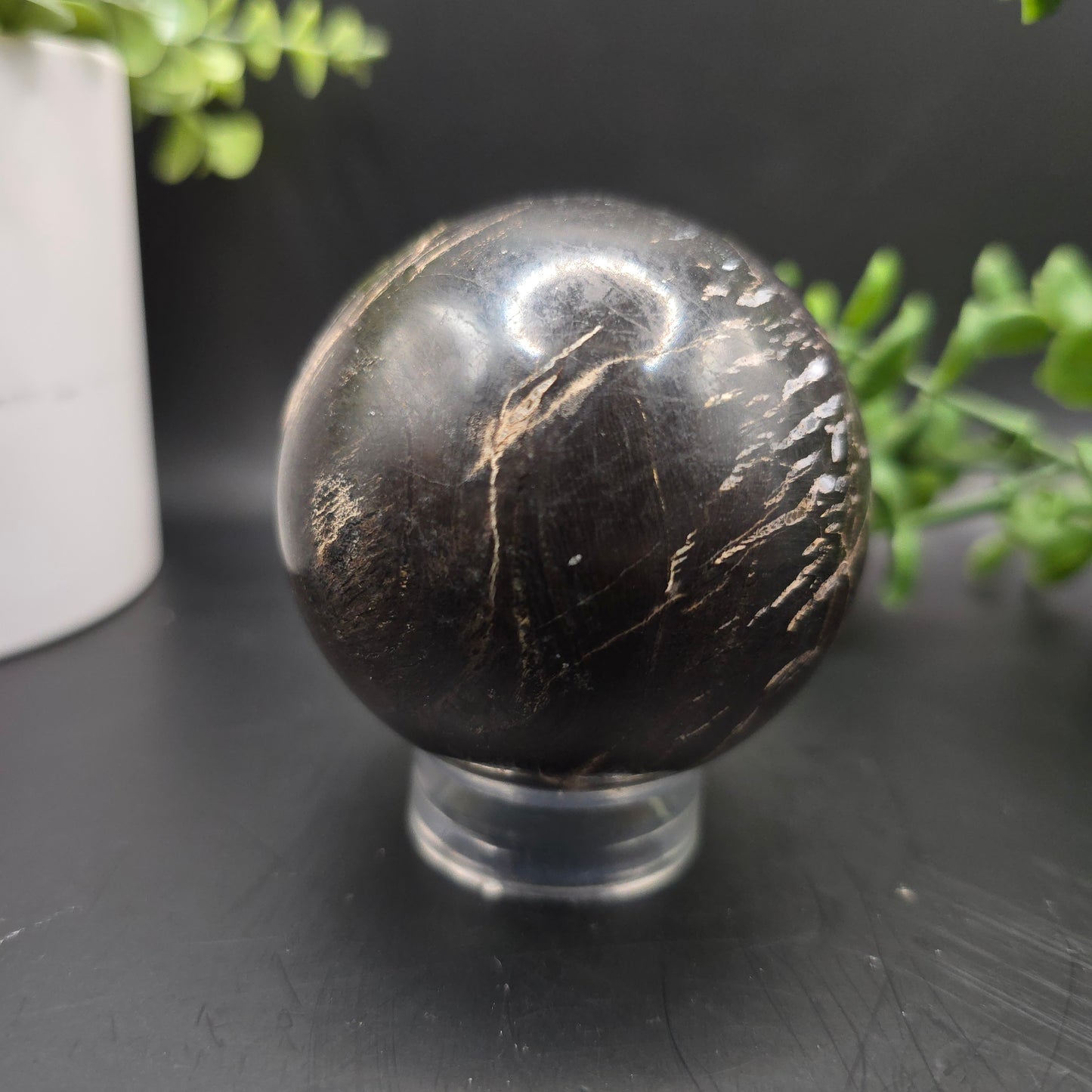Petrified Wood Sphere from Indonesia 2
