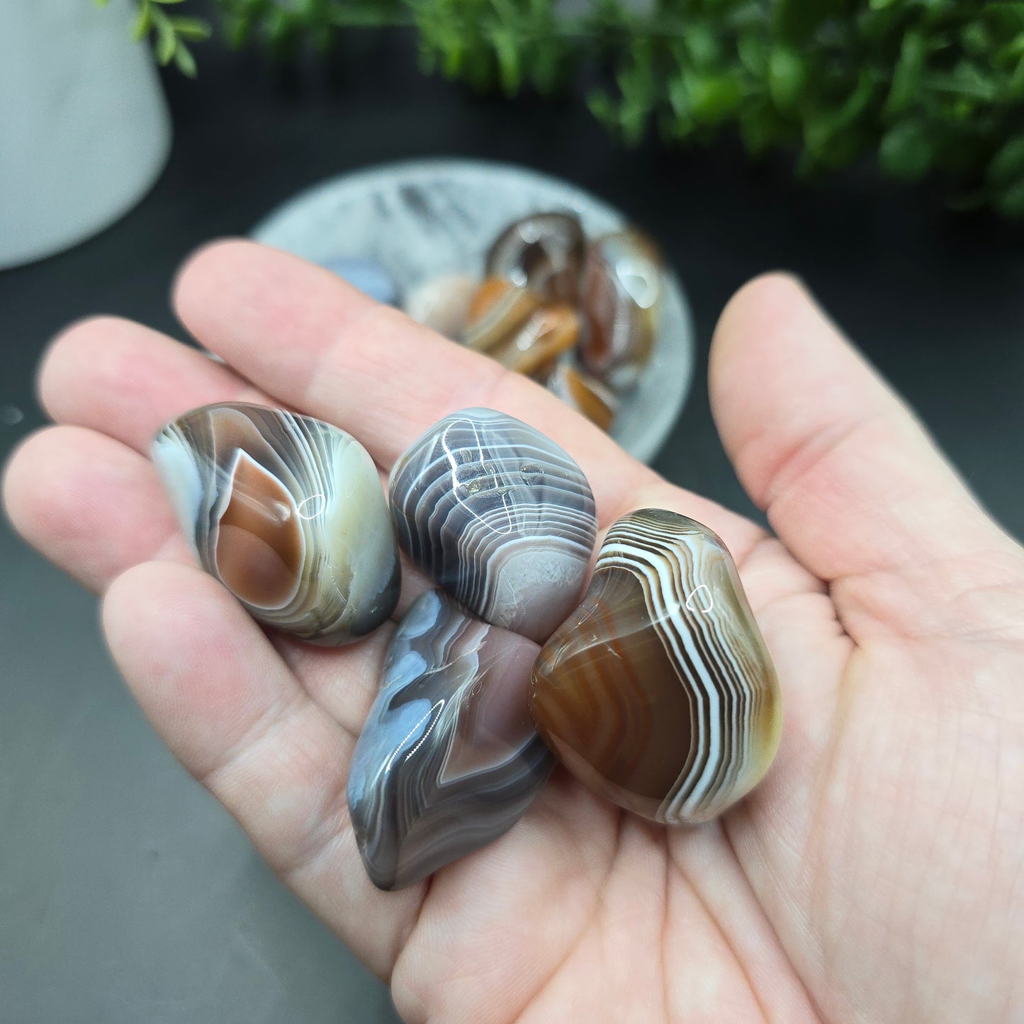 Botswana Agate Tumble