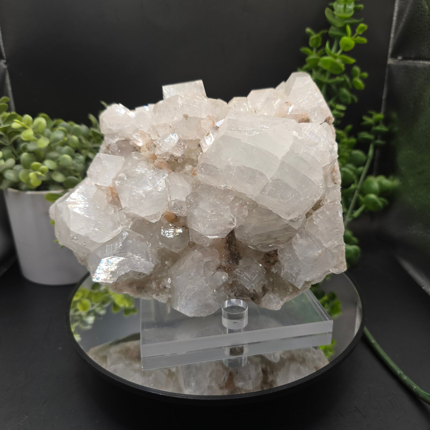 Apophyllite India