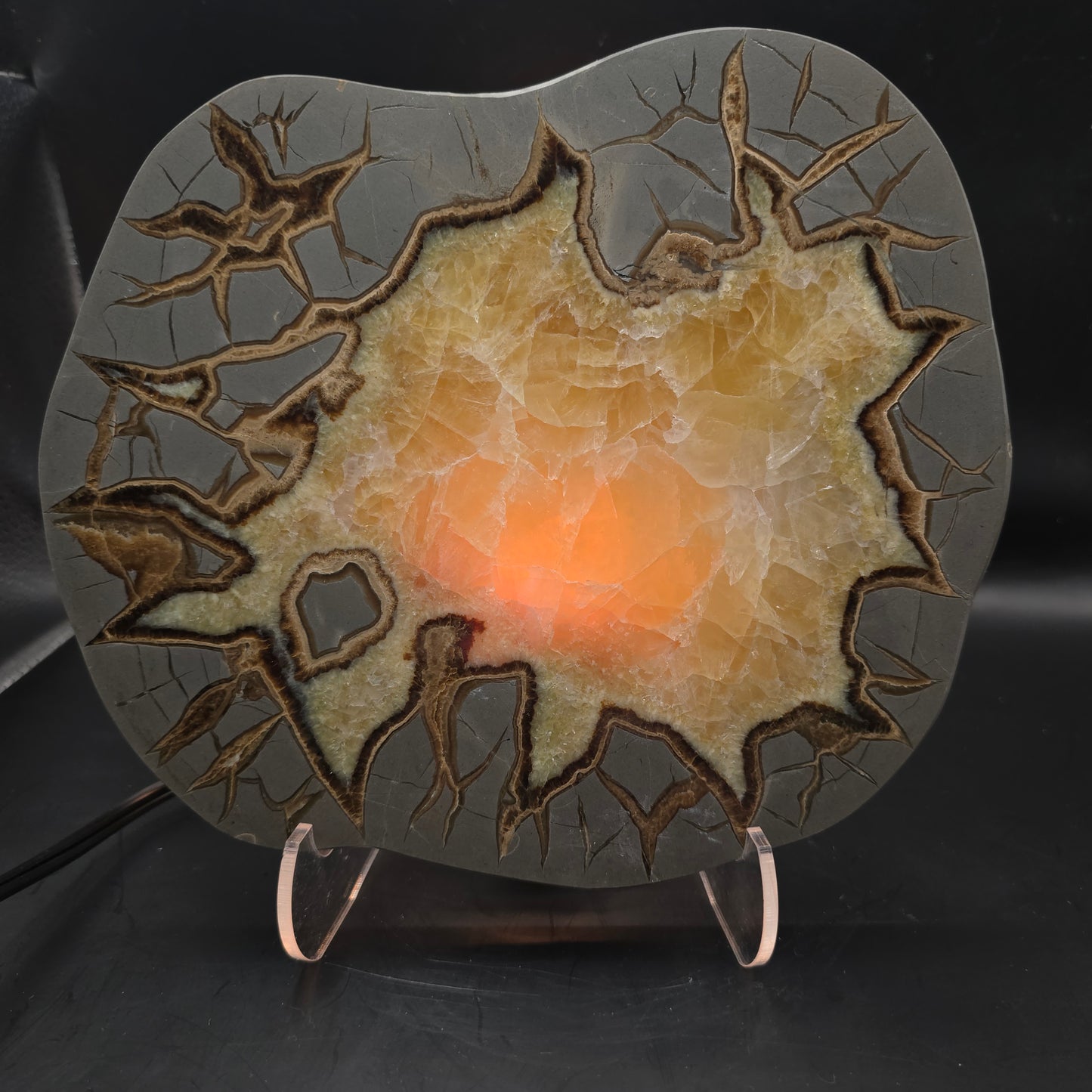 Septarian slab #4