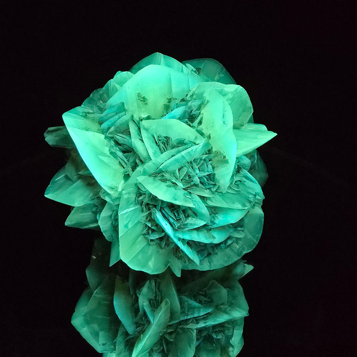 Selenite from Manitoba Canada