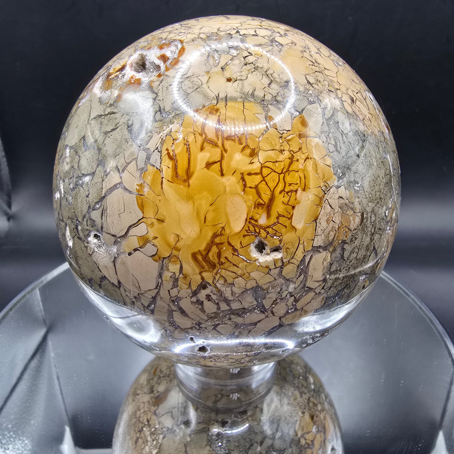 Ibis Jasper sphere madagascar