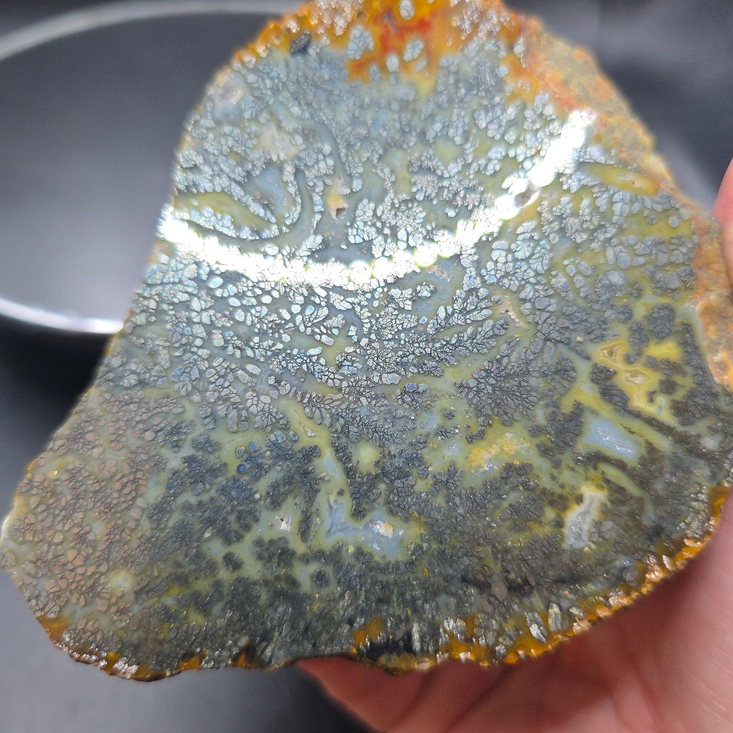 Marcasite in Agate Indonesia