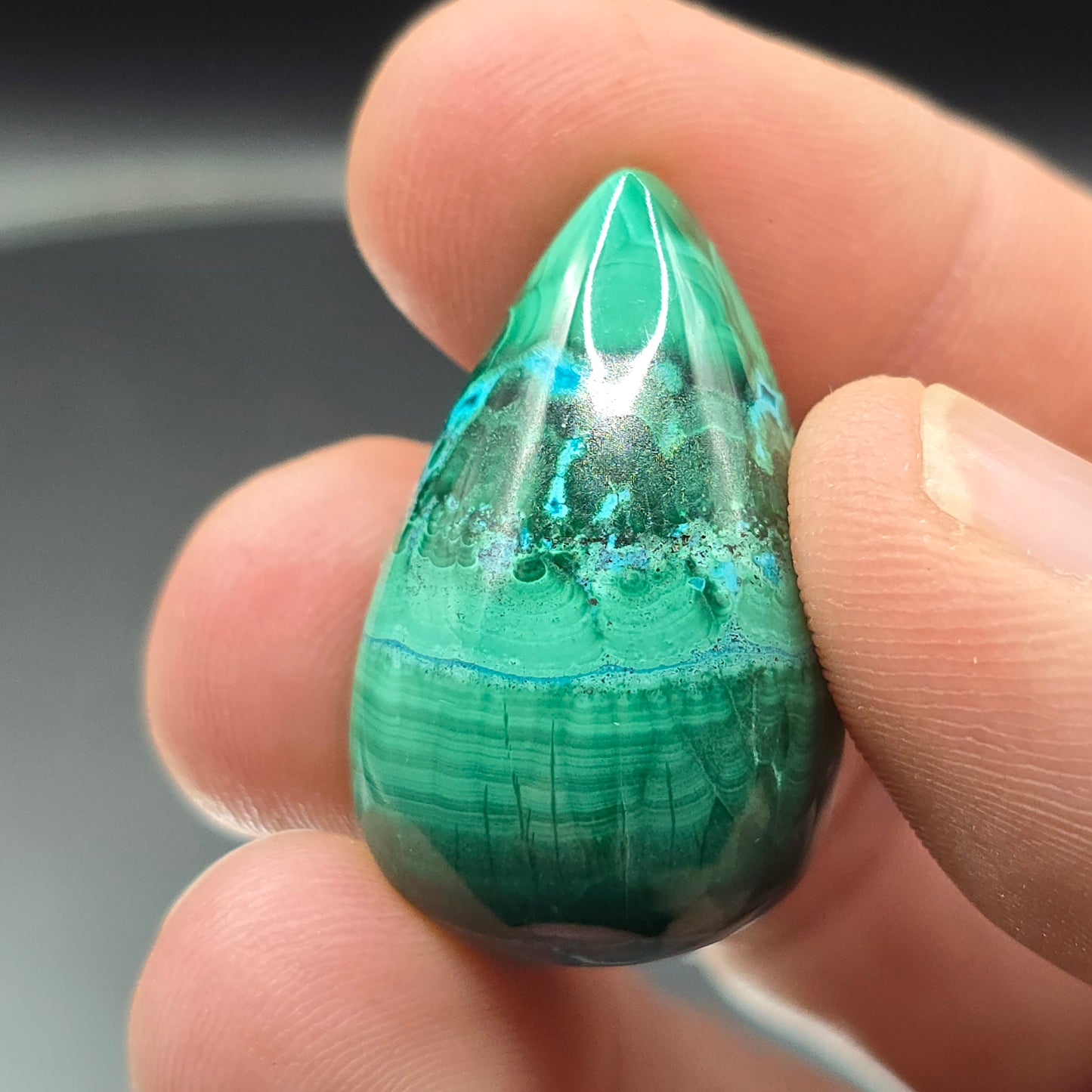 Malachite and chrysocolla Cabochon