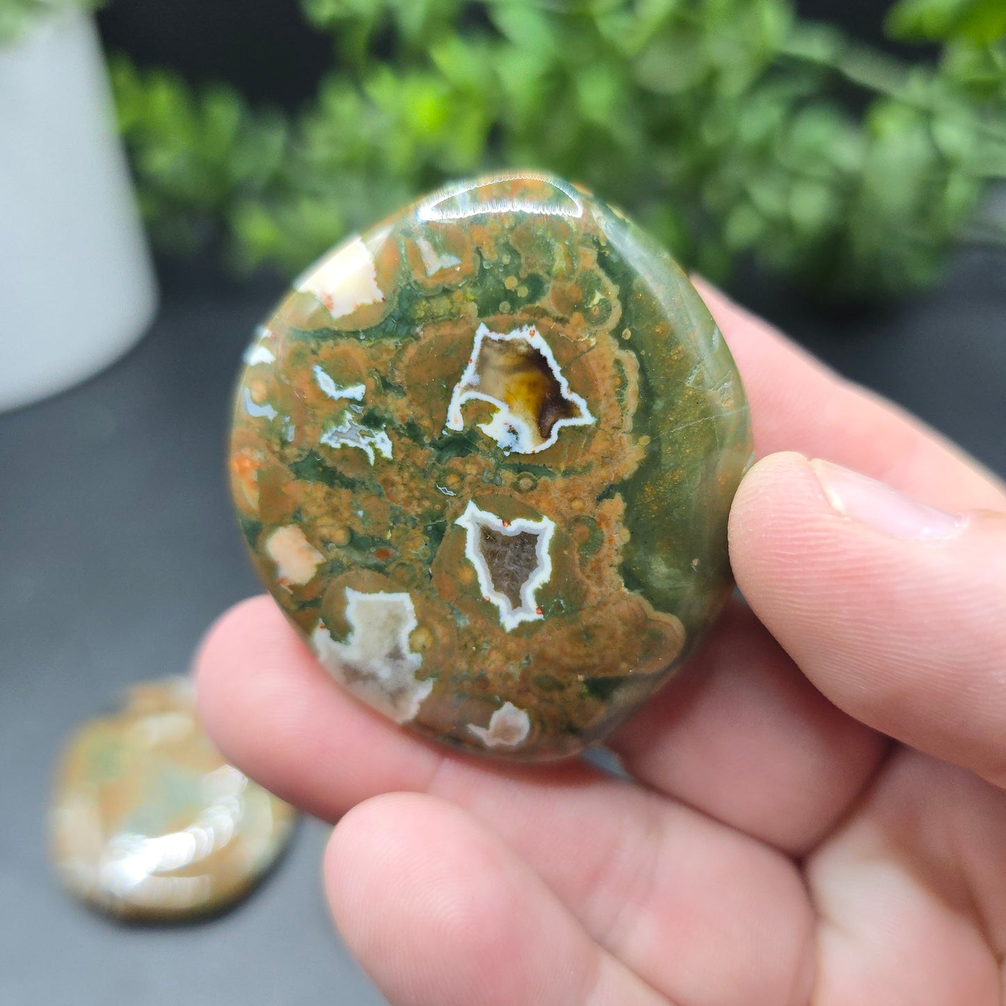 Rainforest jasper coin
