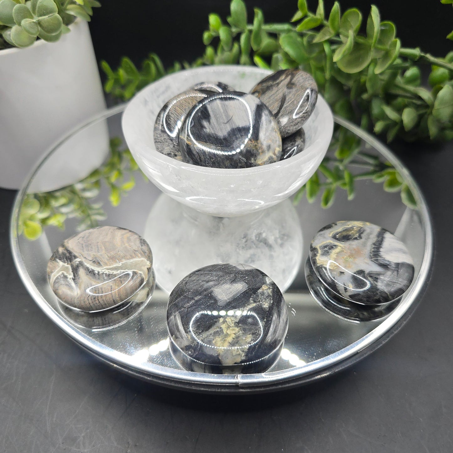 Silver leaf jasper coin