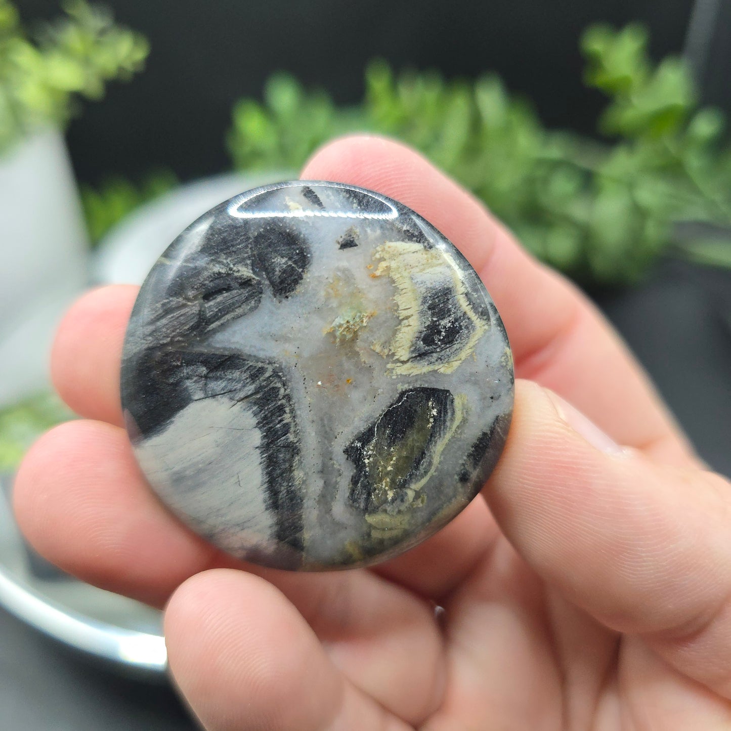 Silver leaf jasper coin