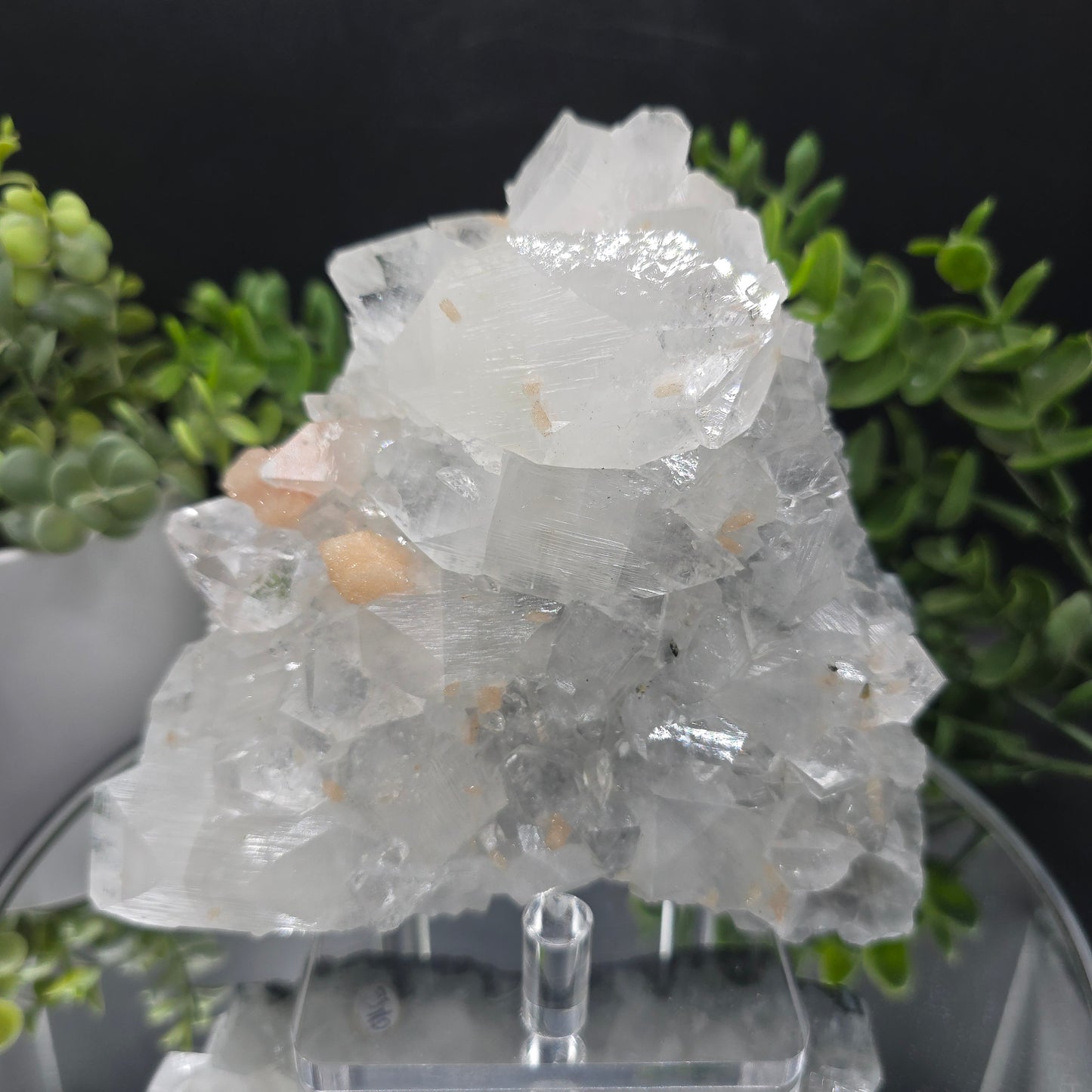 Apophyllite w Stilbite India