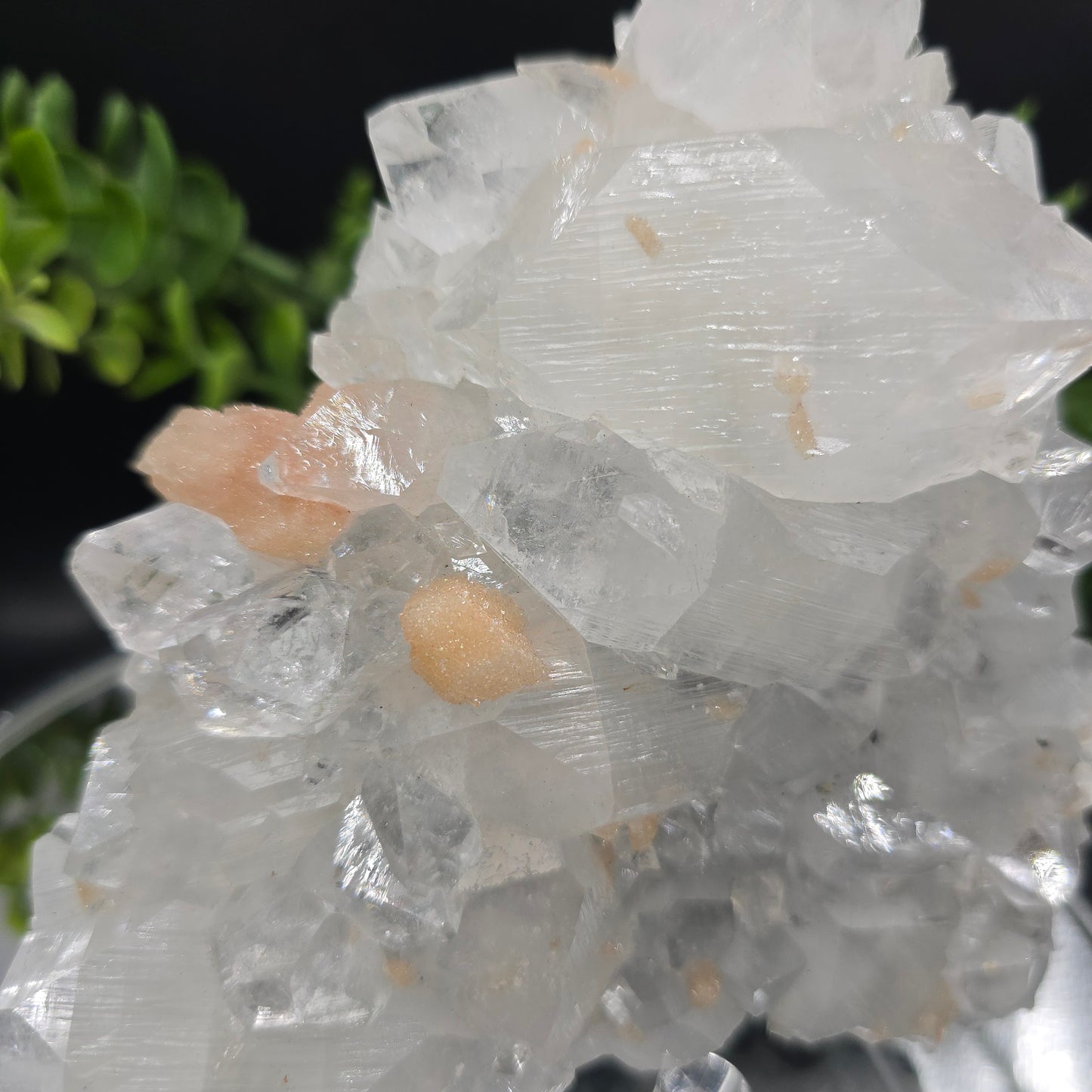 Apophyllite w Stilbite India