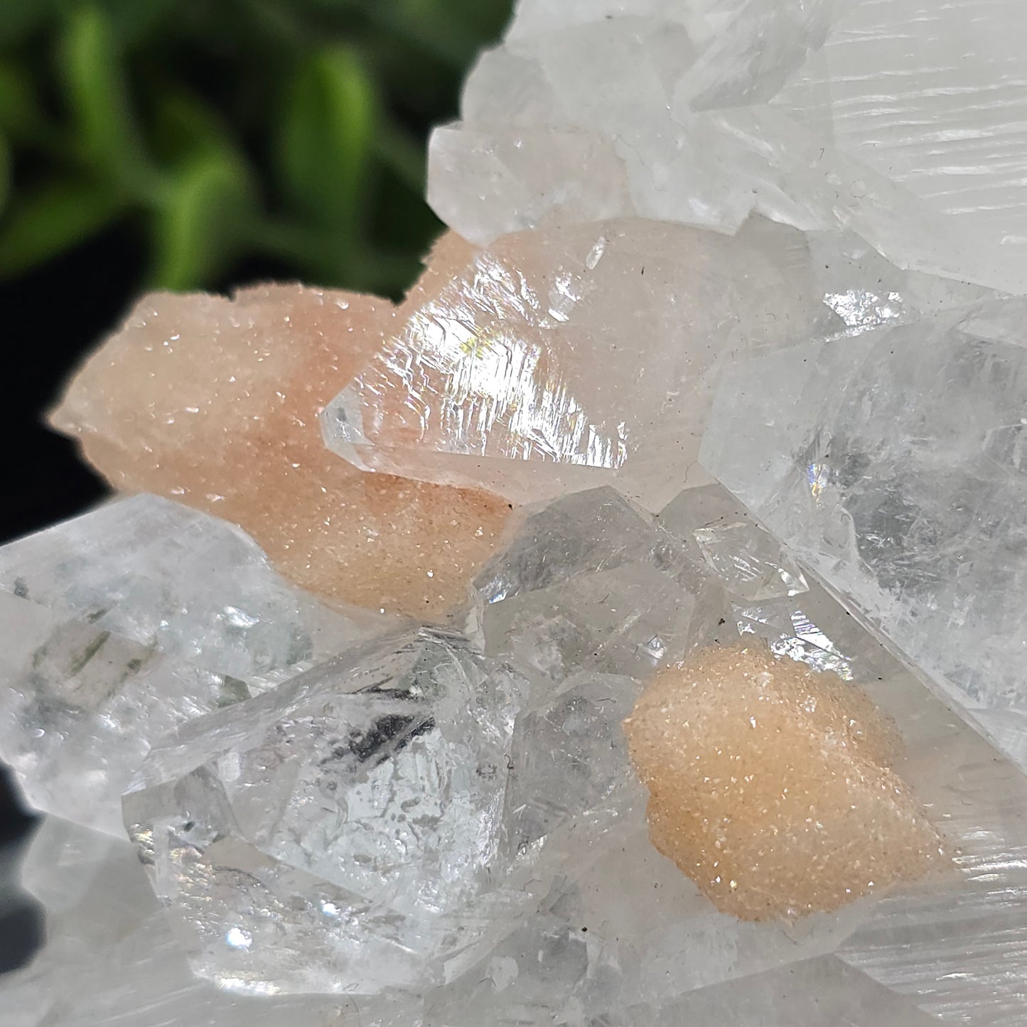 Apophyllite w Stilbite India