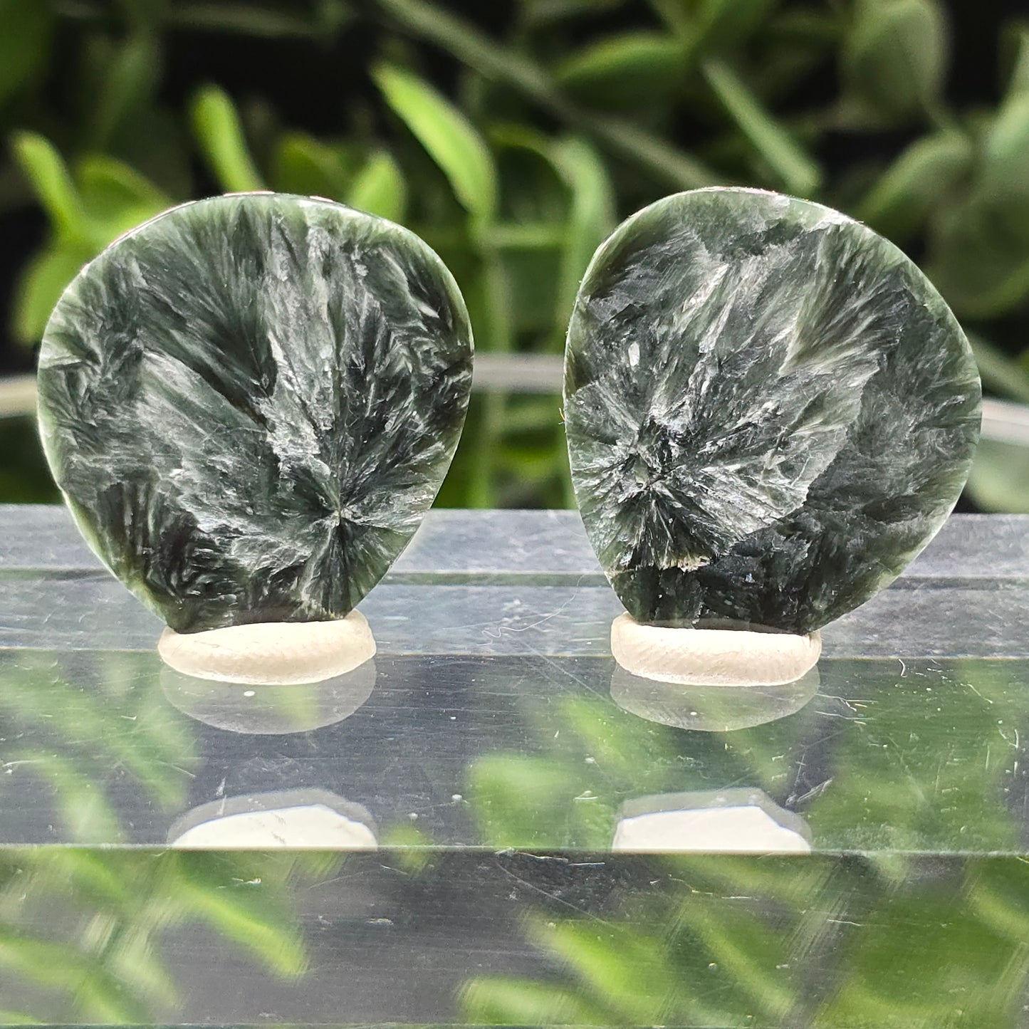 Seraphinite wings