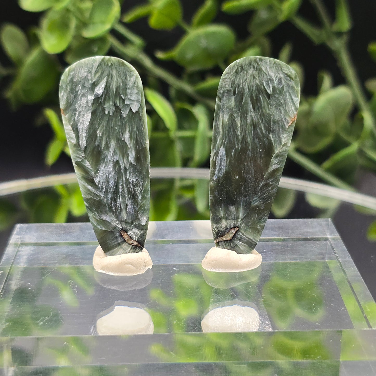 Seraphinite wings