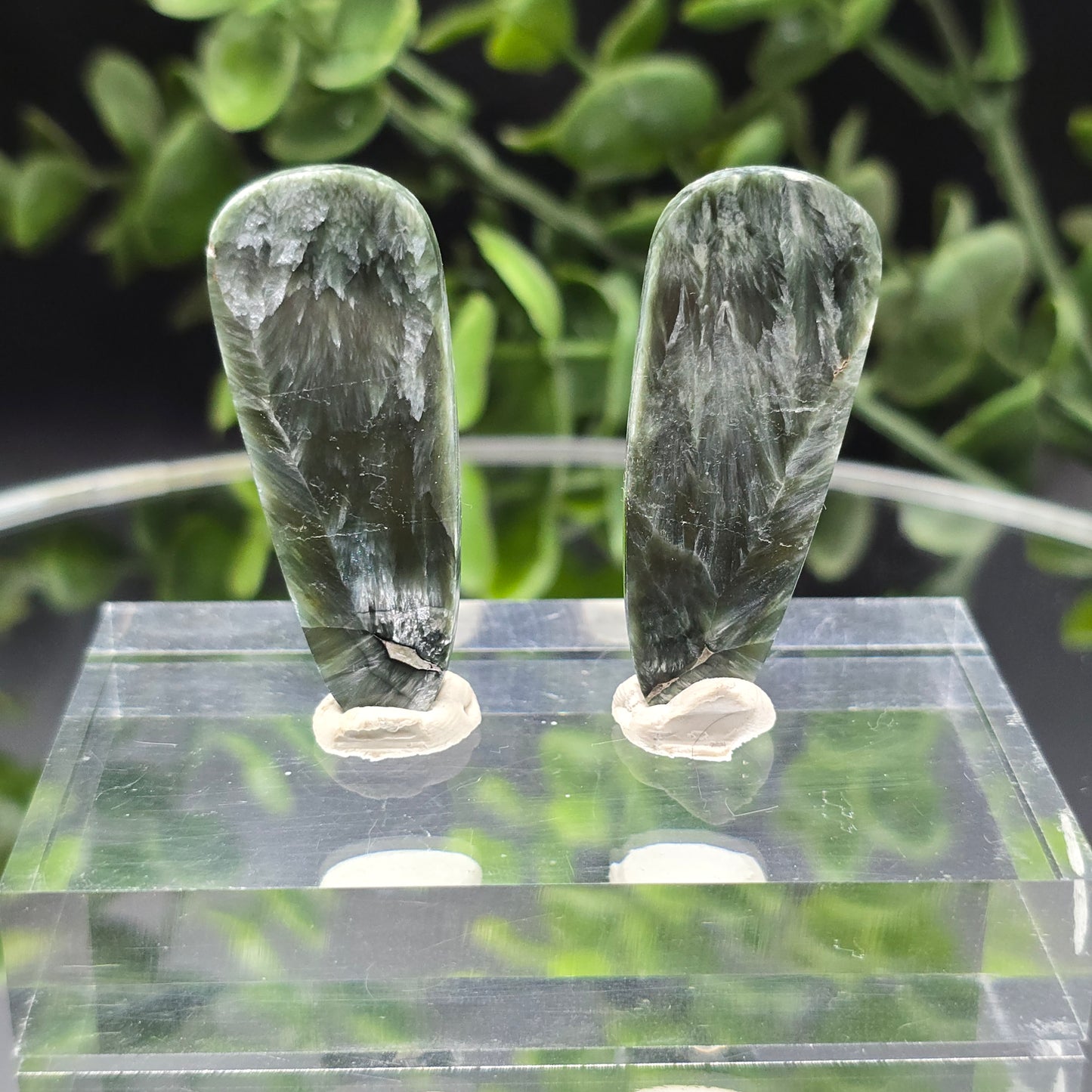Seraphinite wings