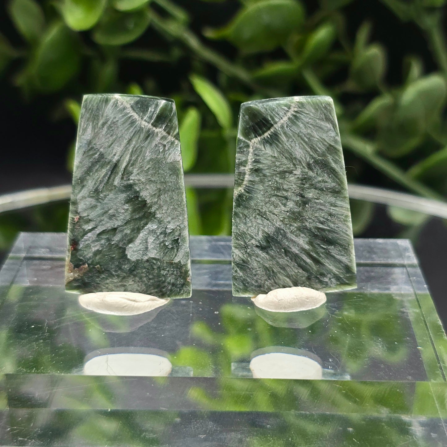 Seraphinite wings