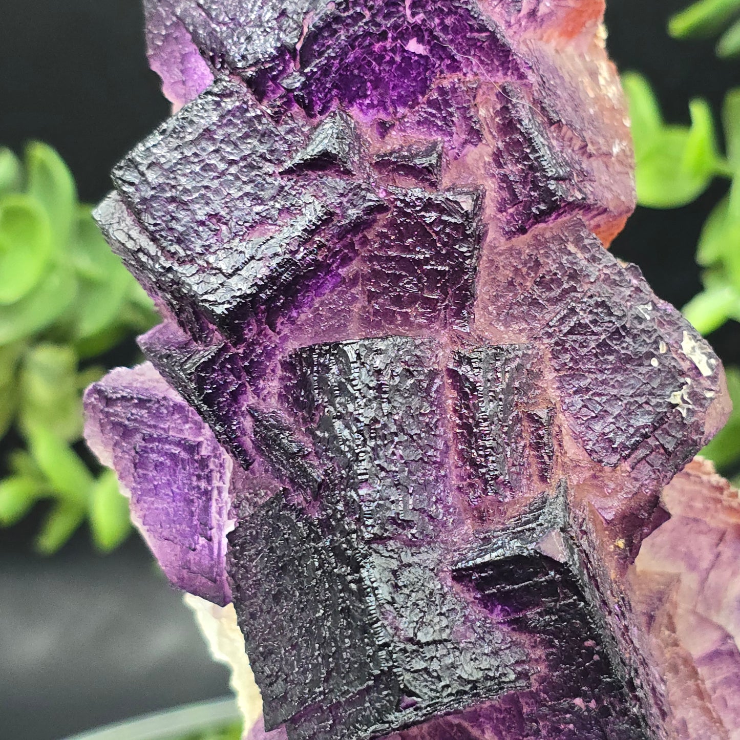 Fluorite El Filo Mine Durango Mexico