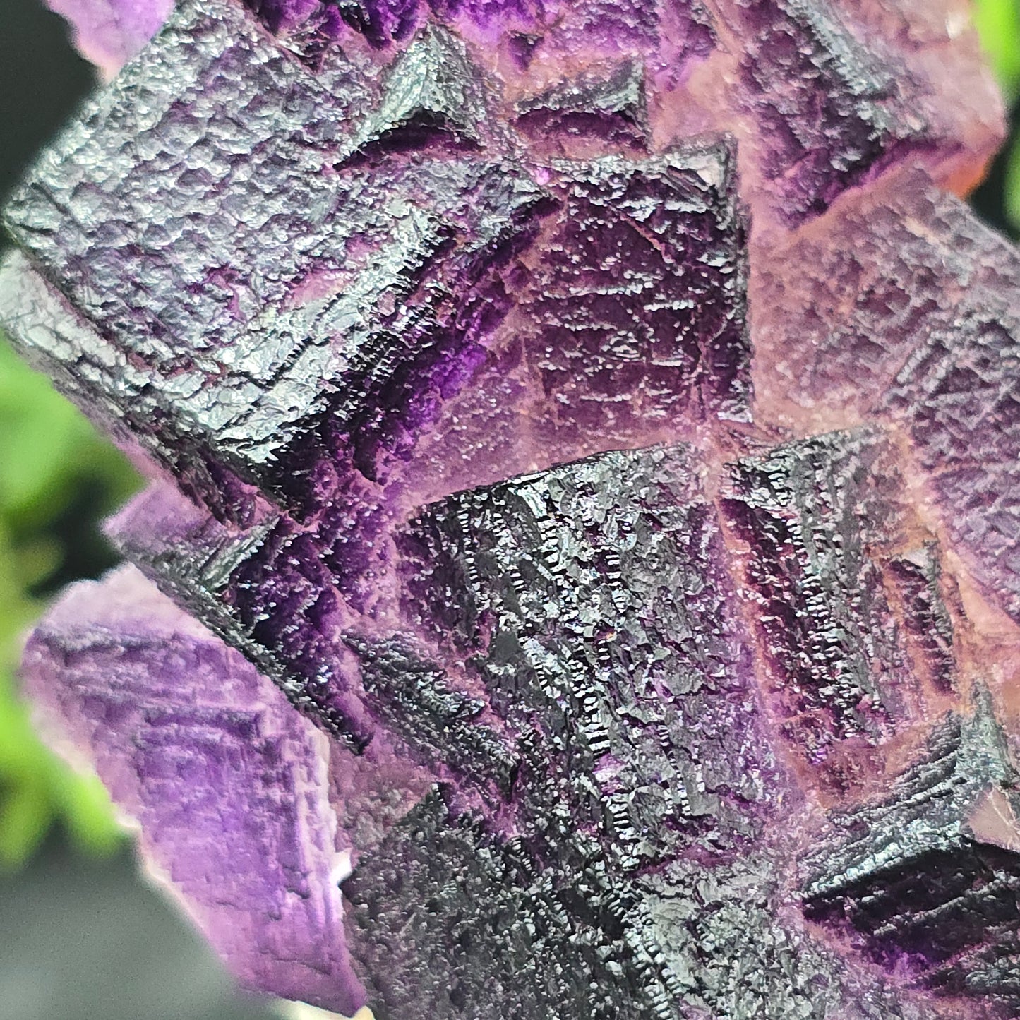 Fluorite El Filo Mine Durango Mexico