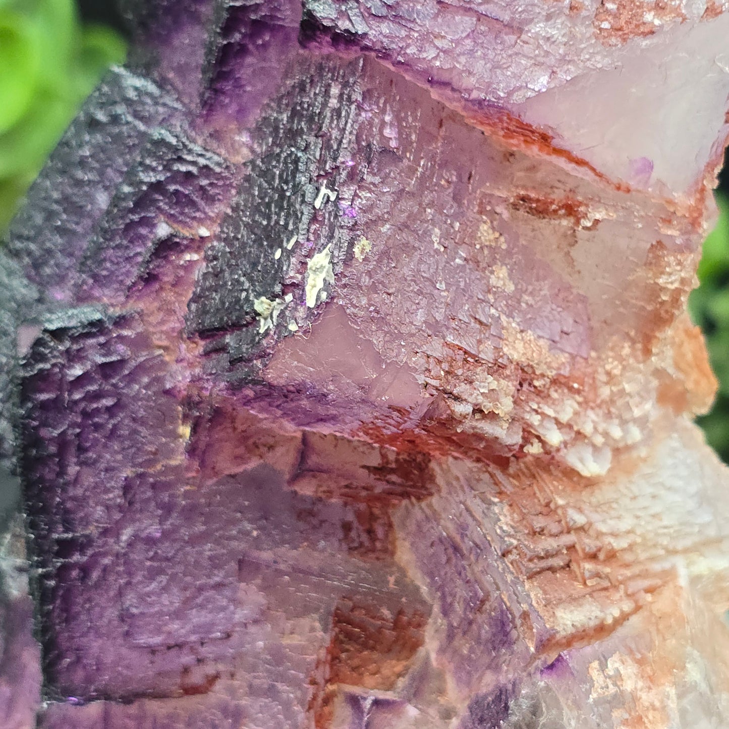 Fluorite El Filo Mine Durango Mexico
