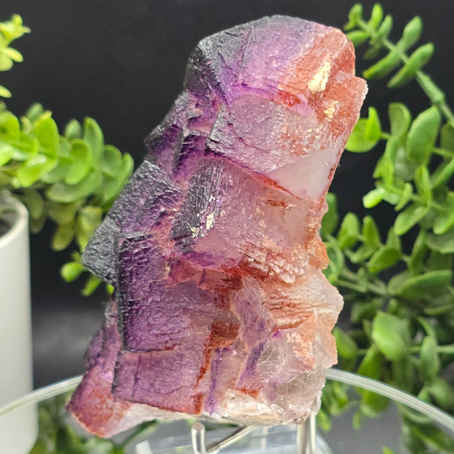 Fluorite El Filo Mine Durango Mexico