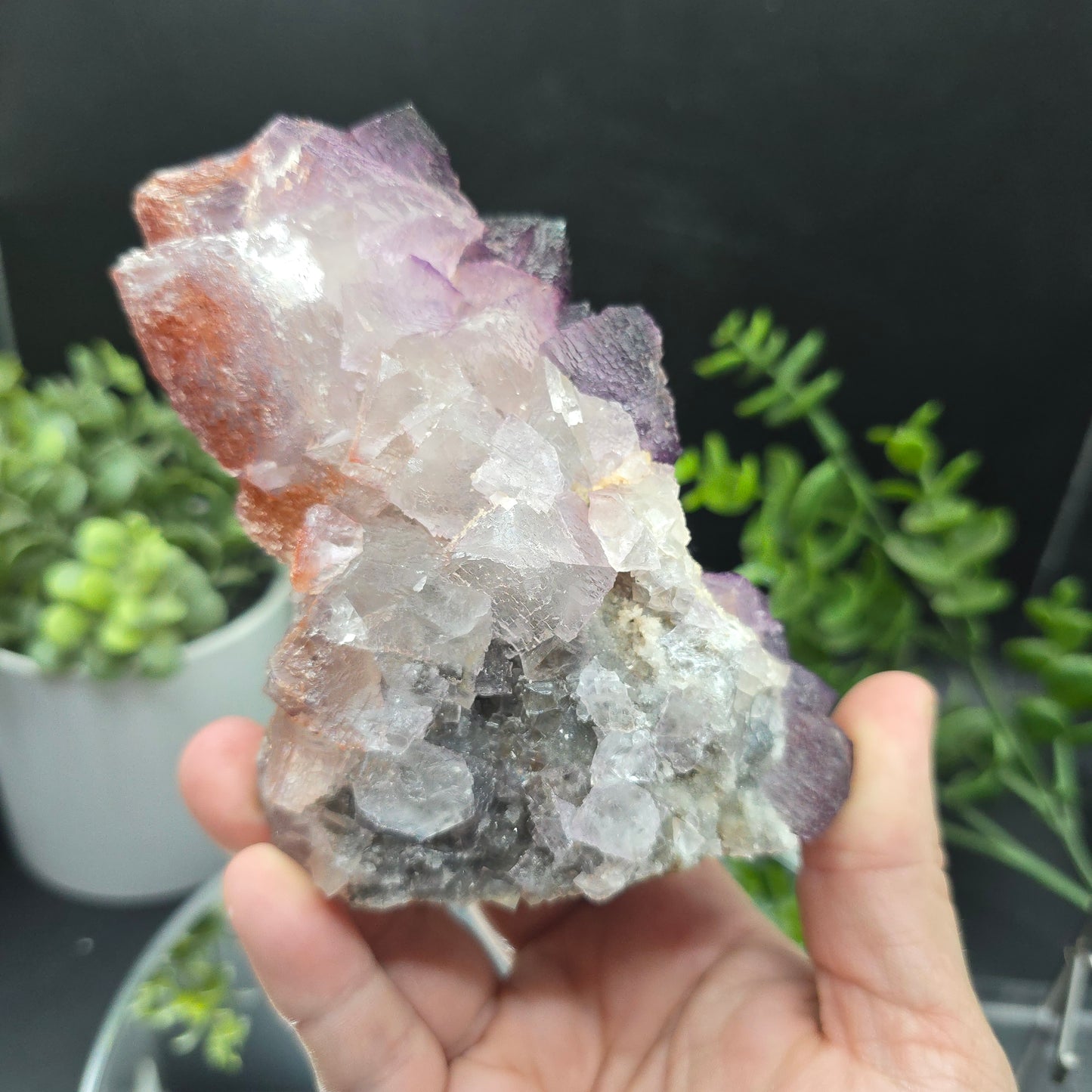 Fluorite El Filo Mine Durango Mexico