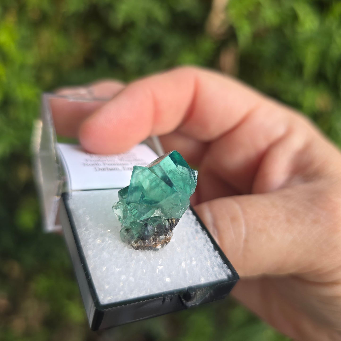 Fluorite from England