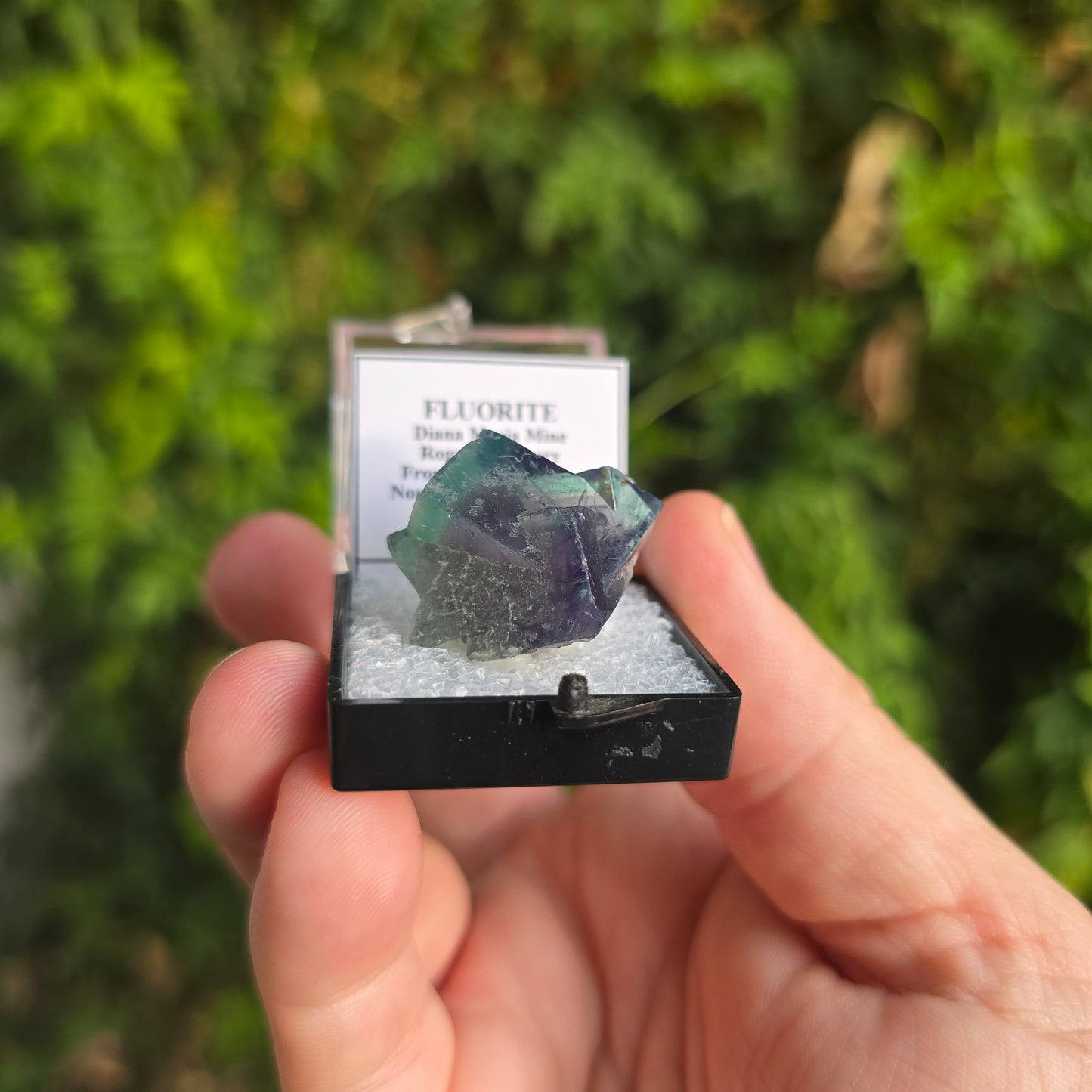 Fluorite from England