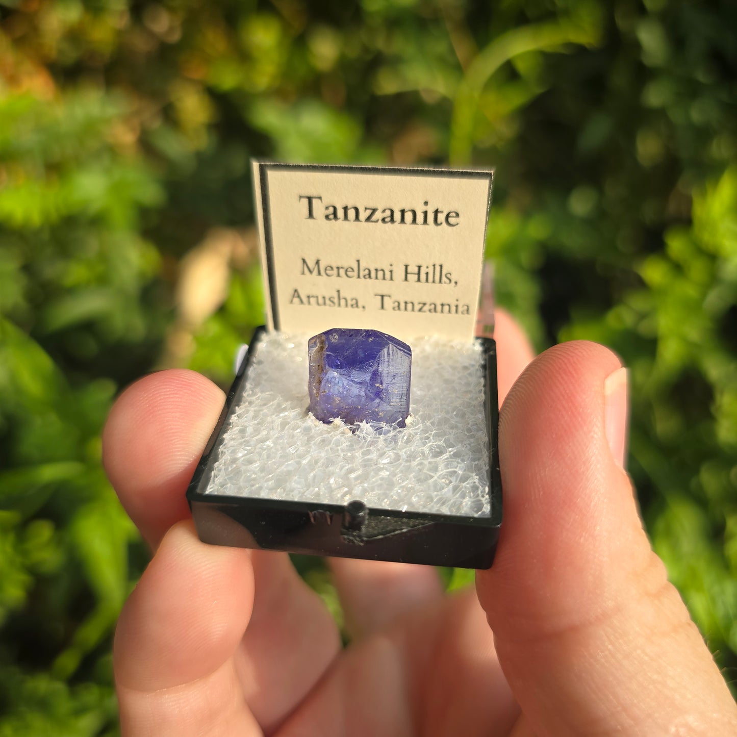 Tanzanite