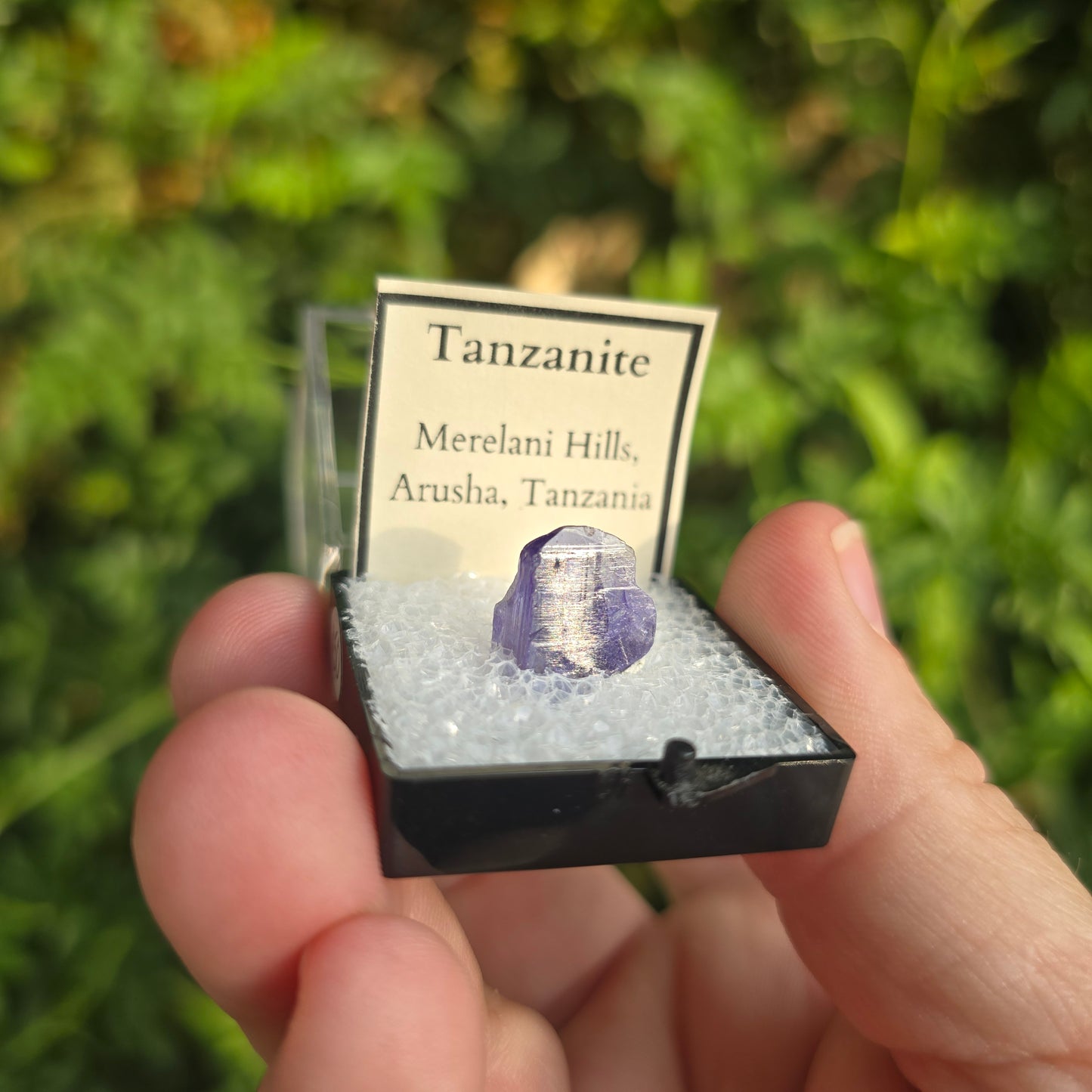 Tanzanite