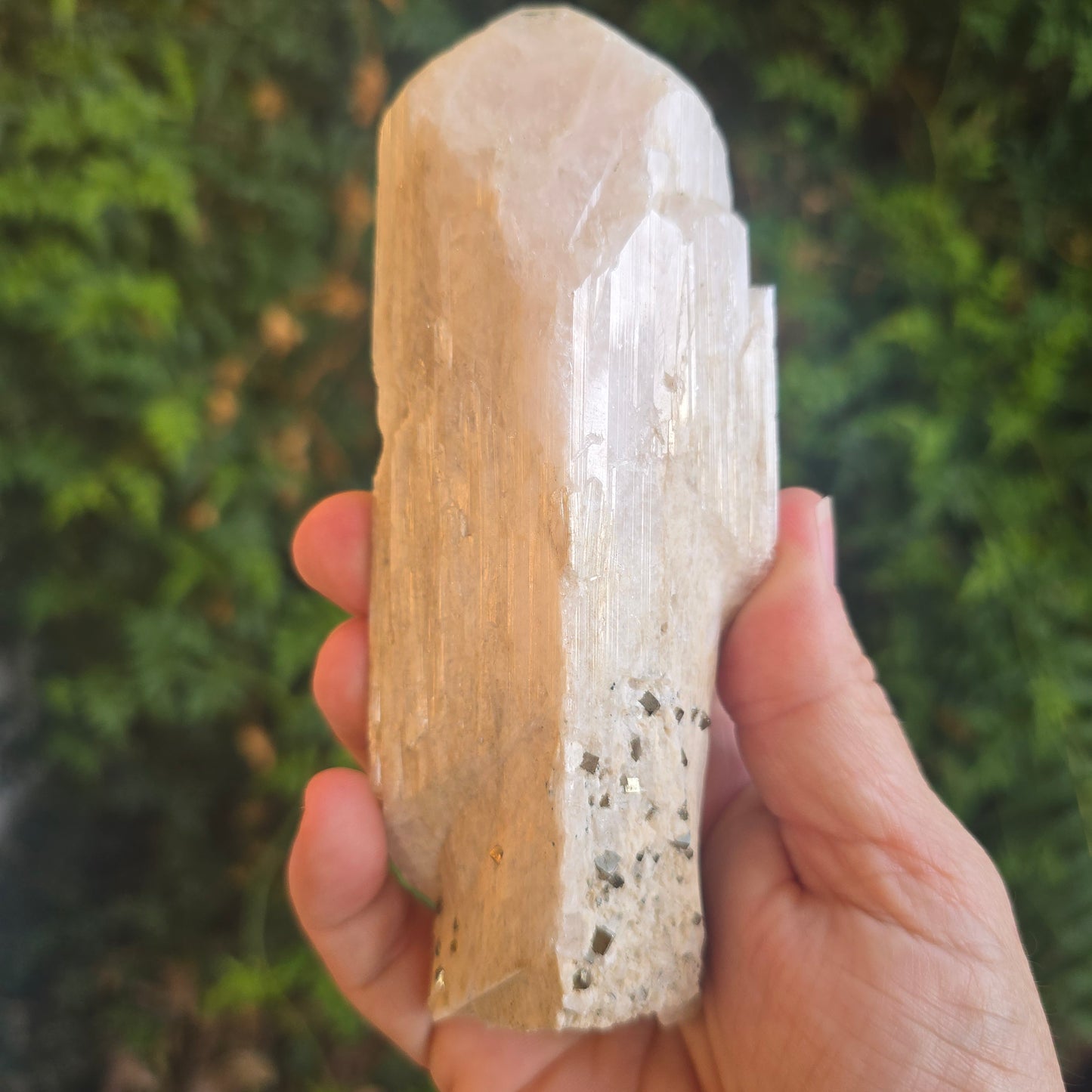 Danburite from Mexico
