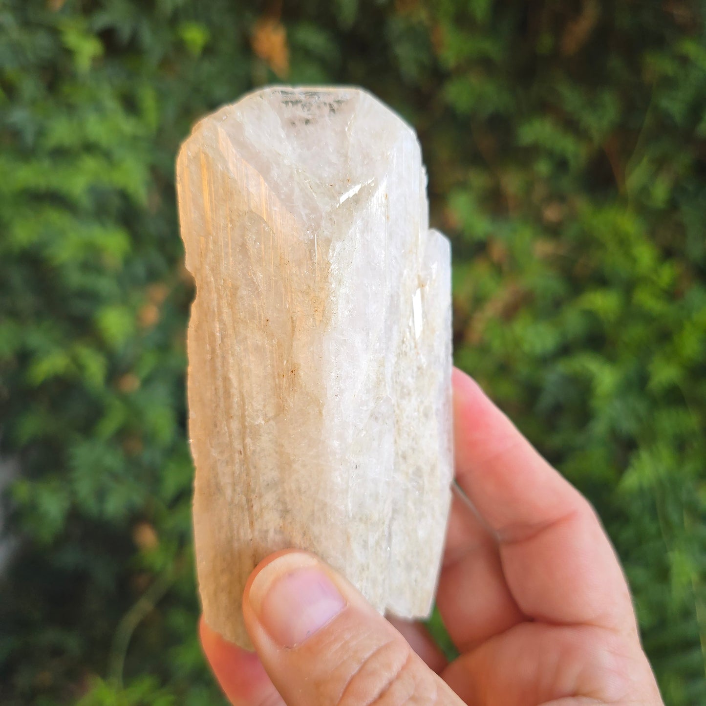 Danburite from Mexico