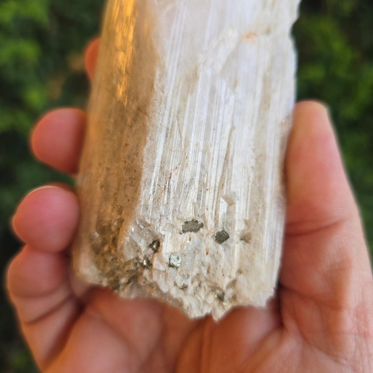 Danburite from Mexico