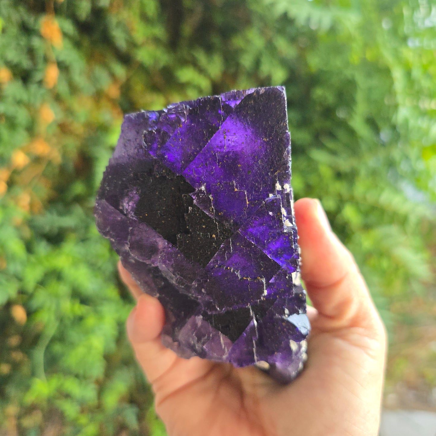 Fluorite from Cave in Rock Illinois