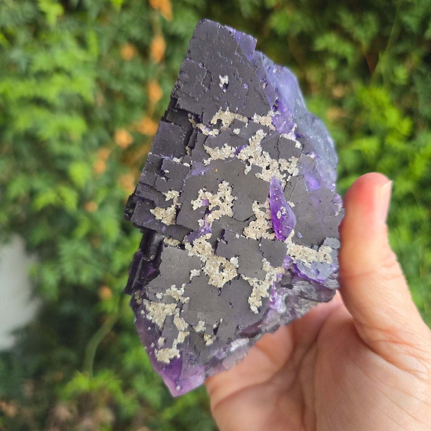 Fluorite from Cave in Rock Illinois