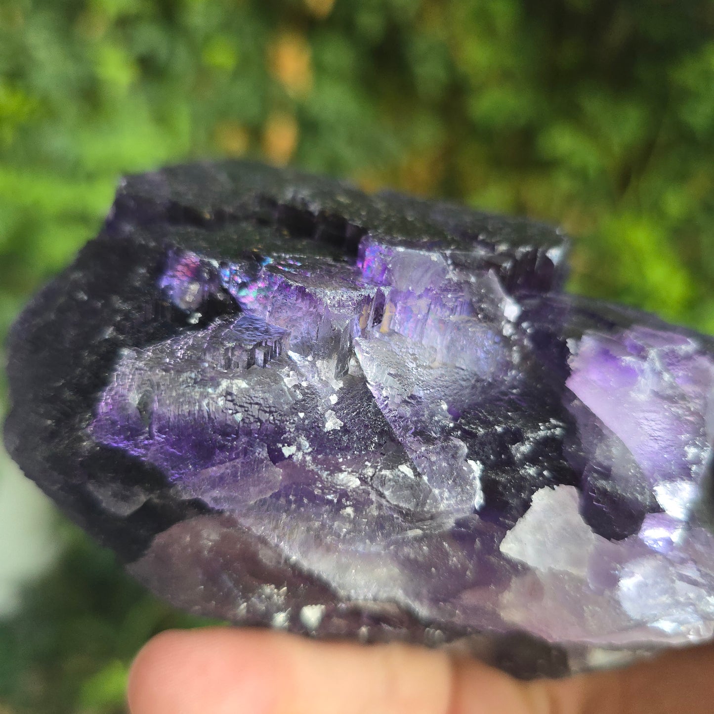 Fluorite from Cave in Rock Illinois