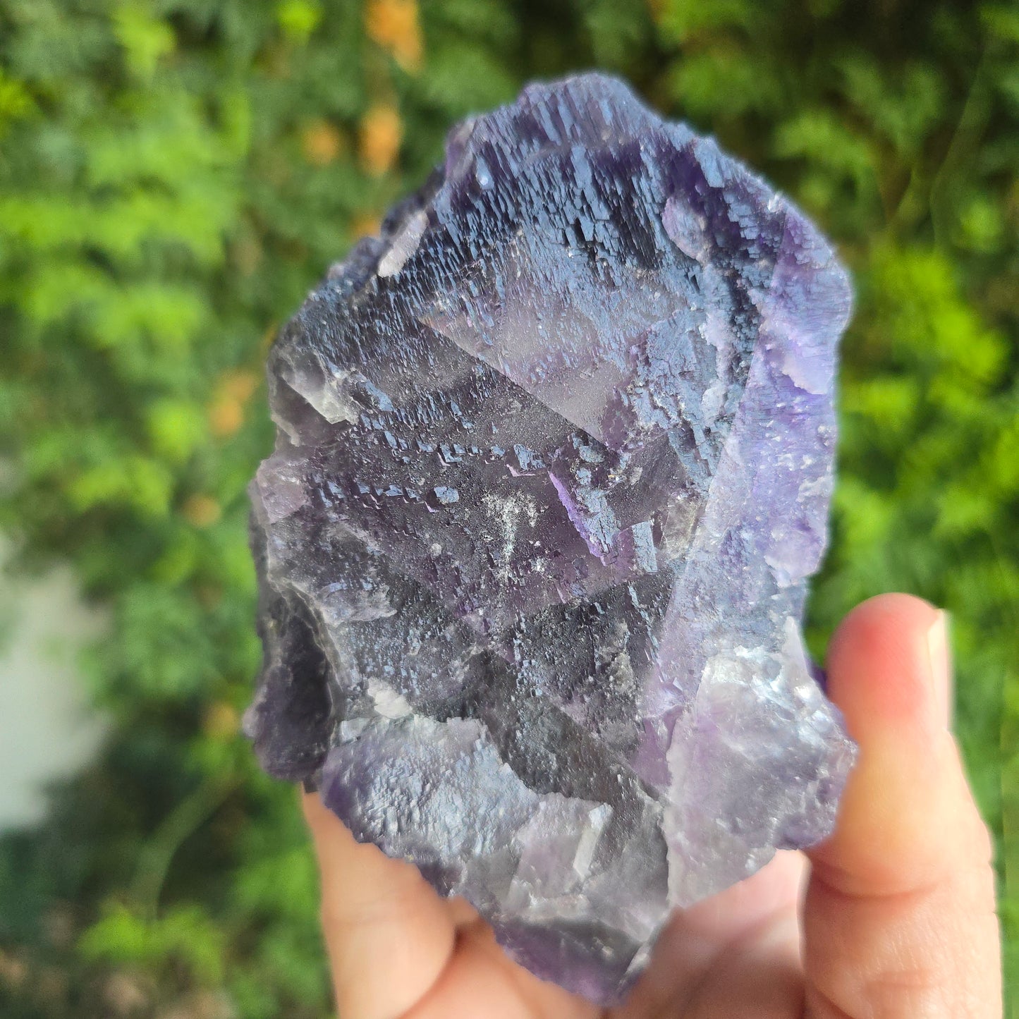 Fluorite from Cave in Rock Illinois
