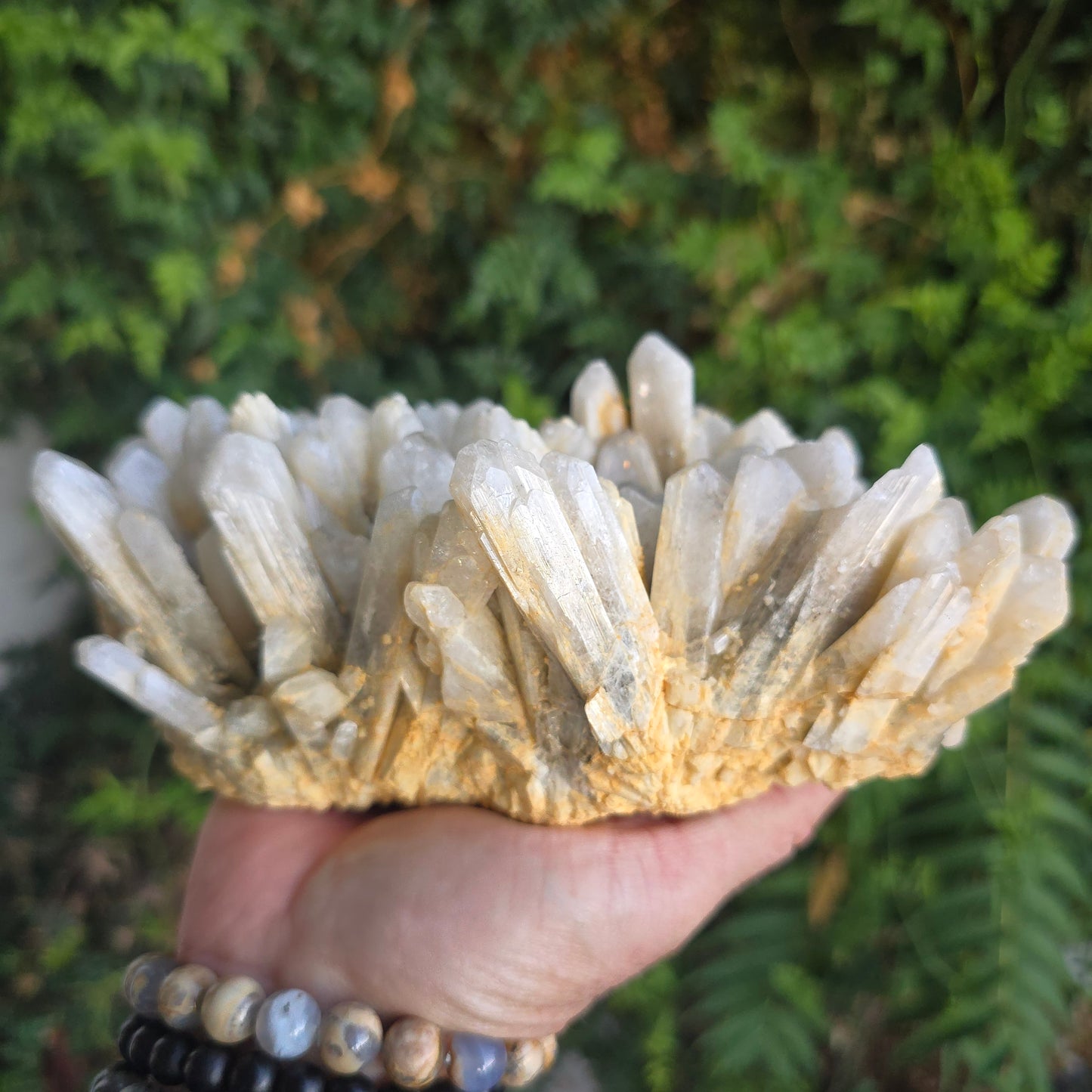 Danburite from Mexico