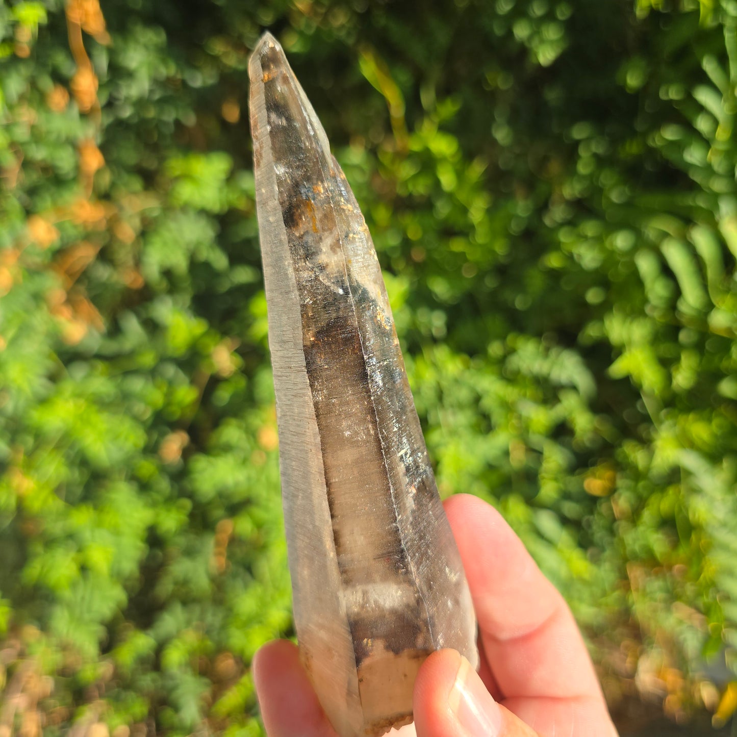 Smoky Mondo quartz Tanzania