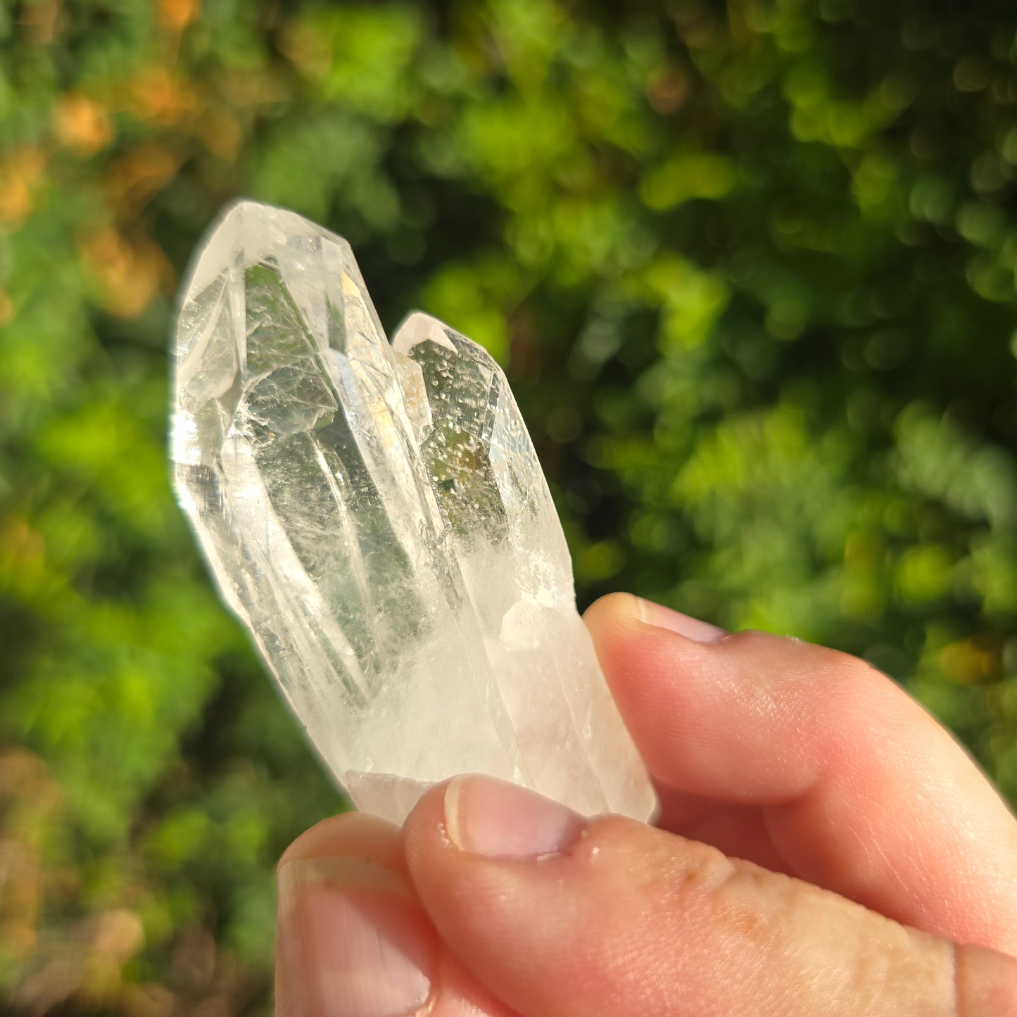 Mondo quartz Tanzania