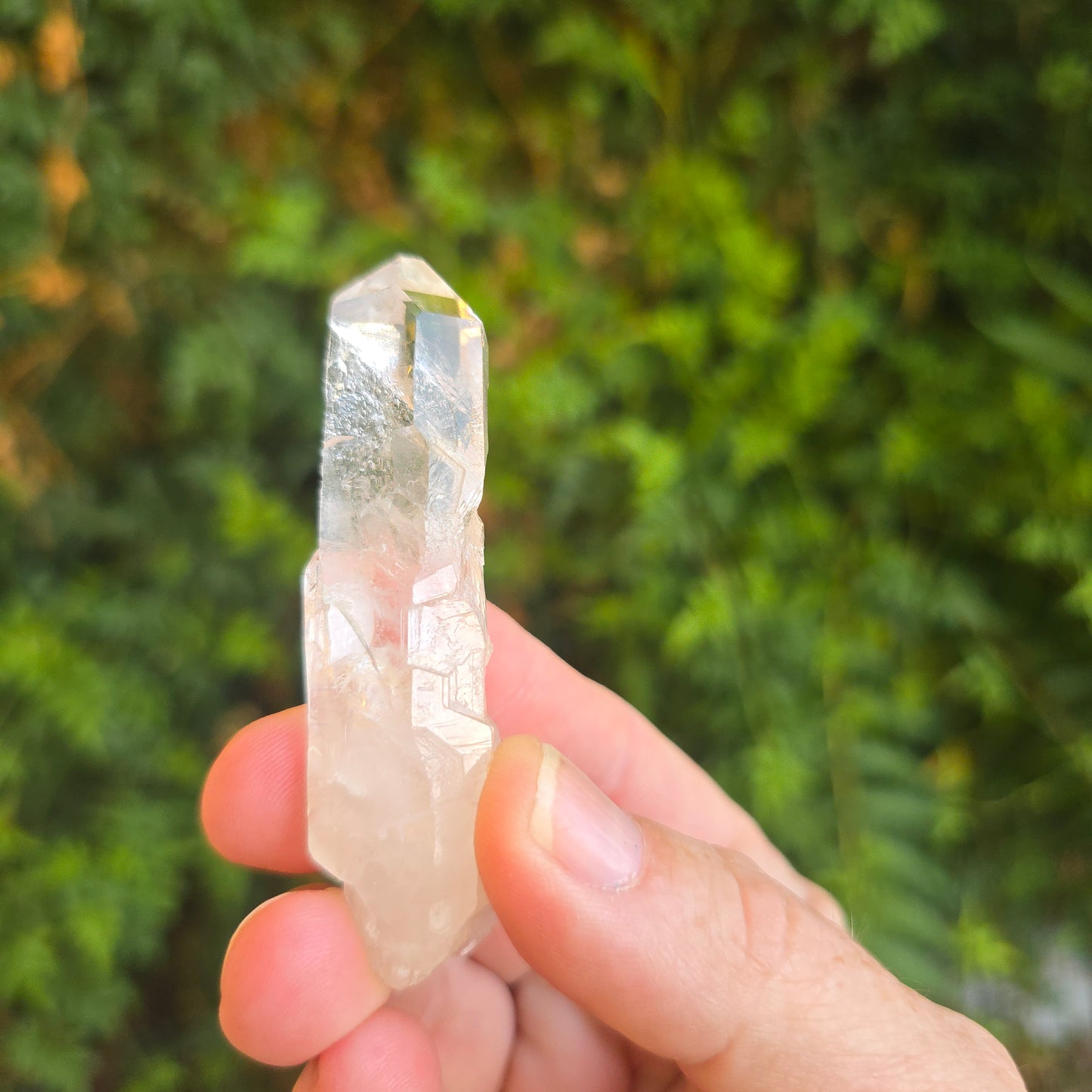 Mondo quartz Tanzania