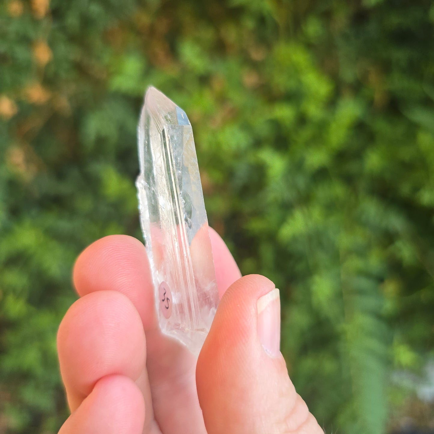 Mondo quartz Tanzania